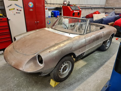 1967 Alfa Romeo Duetto Spider restoration project SOLD