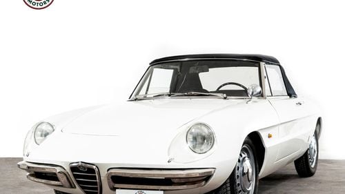 Picture of 1967 Spider Duetto 1600 *Completely Restored* - For Sale