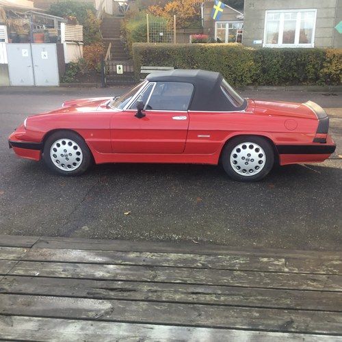1988 Alfa Romeo Quadrifoglio Verde Spider