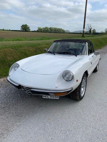 1978 Alfa Romeo Spider