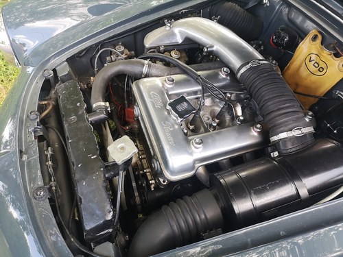 1966 Alfa Romeo Giulia spider 1600 veloce