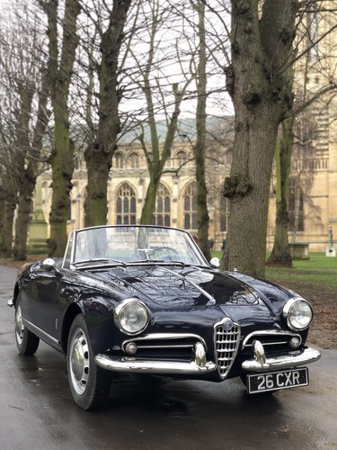 1961 Alfa Romeo Giulietta Spider