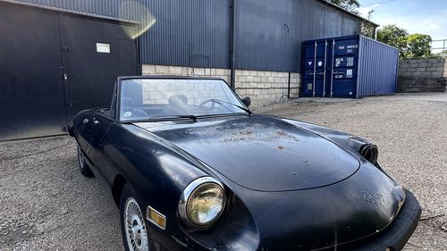 Picture of 1978 Alfa Romeo Spider 115 LHD Project Car - For Sale