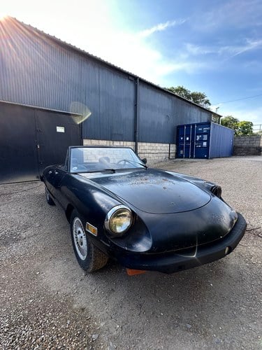 1978 Alfa Romeo Spider 115 LHD Project Car VENDUTO
