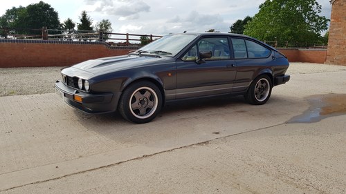 1984 Alfa Romeo GTV