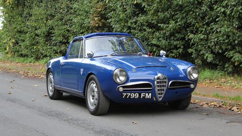 Picture of 1964 Alfa Guilia Spider-Extensive Euro touring & historic events - For Sale