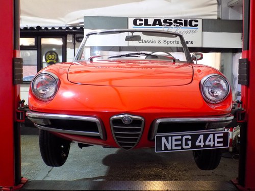 1967 Alfa Romeo 1600 Duetto Spider - LHD For Sale