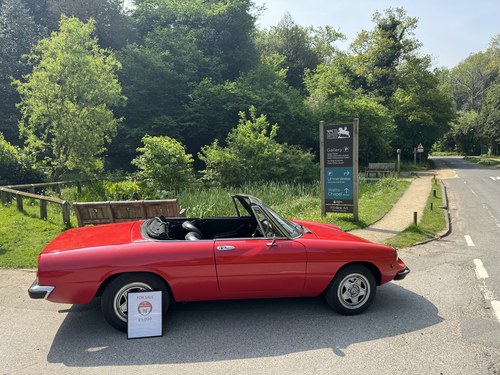 1982 Alfa Romeo Spider Veloce 2000