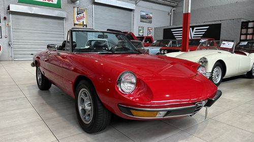 Picture of 1981 Alfa Romeo Spider Kammtail - For Sale