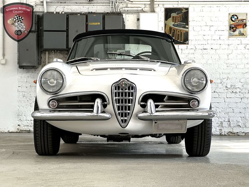 1965 Alfa Romeo Giuli Spider Veloce 101.18 Kaufen Bei