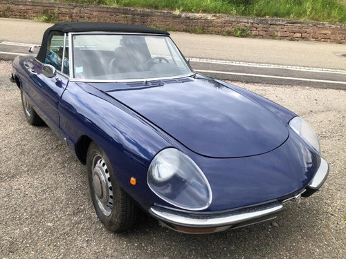 ALFA ROMEO Spider Coda tronca - 1976 Te koop