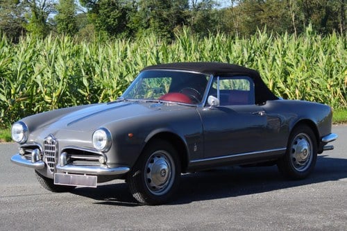 ALFA ROMEO Giulietta SPIDER - 1963 Kaufen Bei