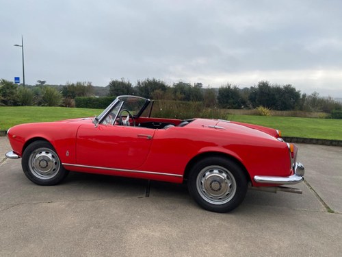ALFA ROMEO 1600 Spider - 1965 Kaufen Bei