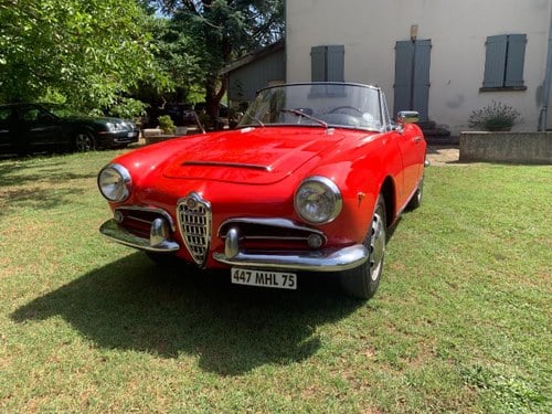 ALFA ROMEO Giulia speeder 1600 - 1965 Kaufen Bei
