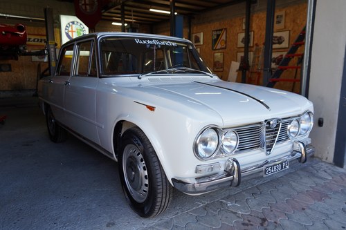Alfa Romeo Giulia 1.6cc Bollino Oro 1967 Kaufen Bei