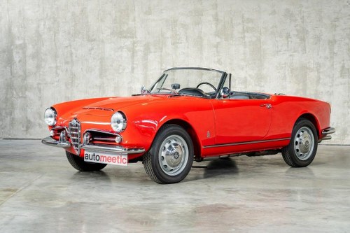 ALFA ROMEO 1600 Giulia Spider - 1962 For Sale