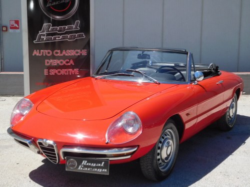 1967 ALFA ROMEO SPIDER 1.6 DUETTO OSSO DI SEPPIA “ -CRS+ASI VERKAUFT