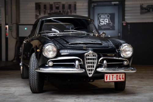 1962 Alfa Romeo Giulia 1600 Spider Veloce Kaufen Bei