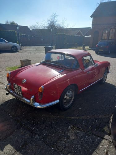 1963 Alfa Romeo Giulia Type 105 Spider