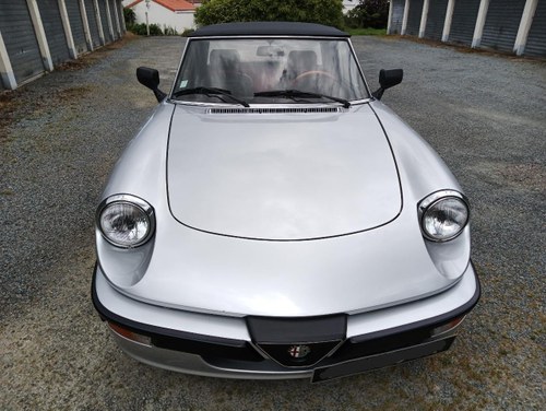 1987 ALFA ROMEO Spider série Quadrifoglio For Sale