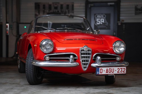 1965 Alfa Romeo Giulia 1600 Spider Kaufen Bei