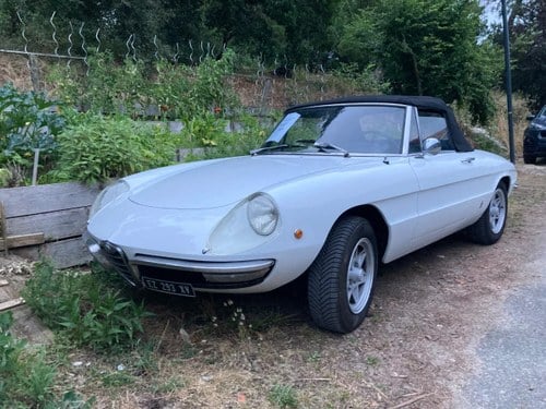 1969 ALFA ROMEO Spider Coda longa In vendita