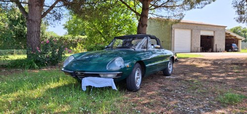 1978 Alfa Romeo Spider Quadrifoglio Verde For Sale