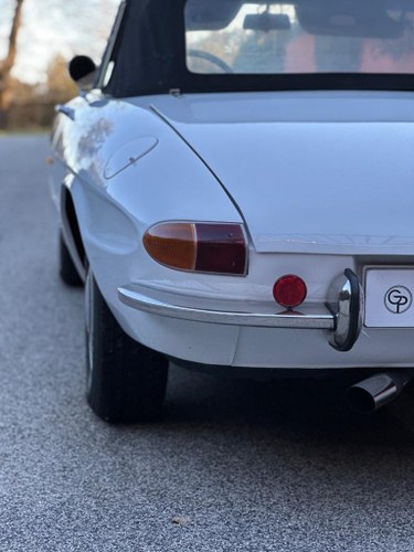 1967 Alfa Romeo Spider Veloce 1750 Kaufen Bei