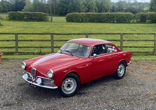 1962 Alfa Romeo Giulietta Type 750/101 (1954 - 1965) Kaufen Bei