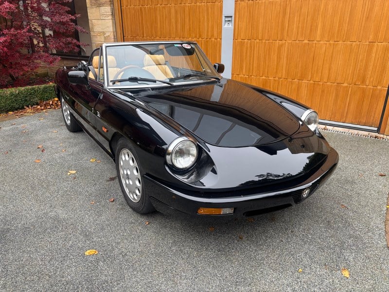 1991 Alfa Romeo Spider - 2 1991 Alfa Romeo Spider - 2