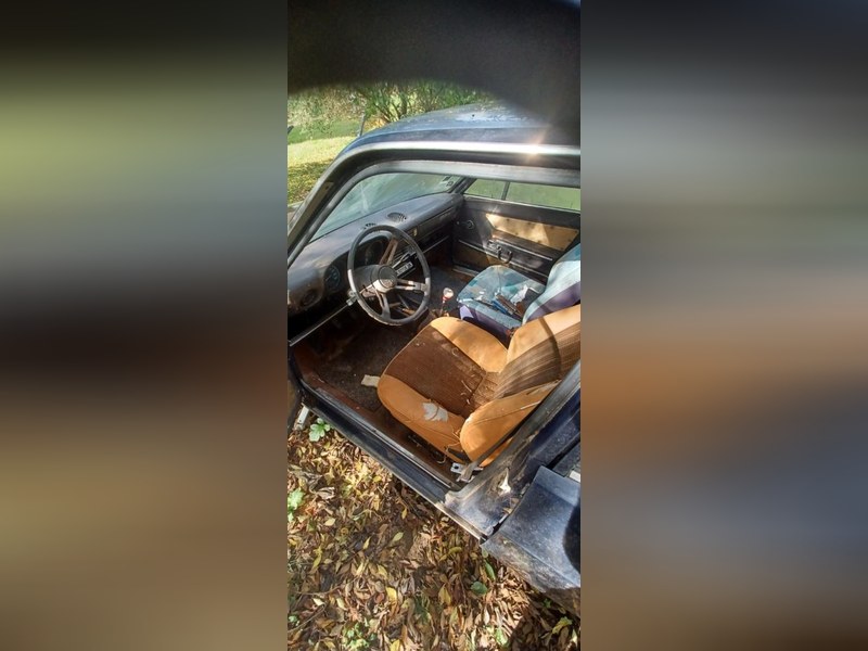 1978 Alfa Romeo Alfasud Quadrifoglio Verde