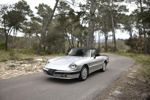 1987 Alfa Romeo Spider Quadrifoglio Verde À venda