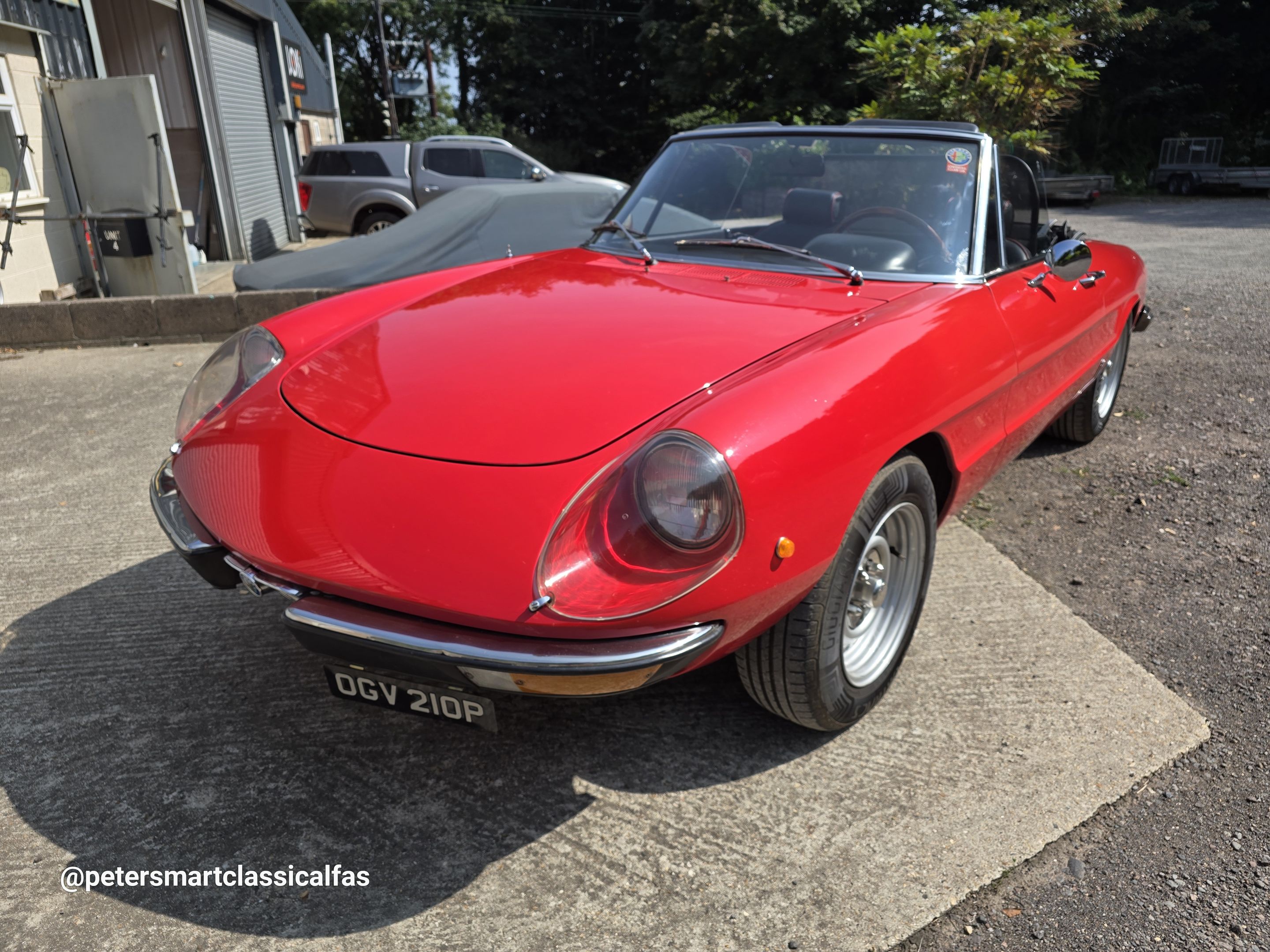 1975 Alfa Romeo Spider