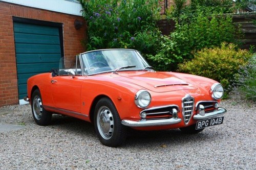 1964 Alfa Romeo Giulia Spider 1600 For Sale by Auction