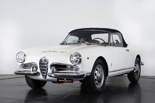 1962 Alfa Romeo Giulia Spider 1600 Kaufen Bei