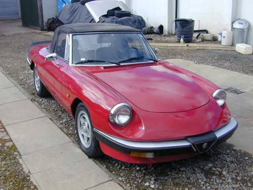 1988 ALFA SPIDER CLASSIC PROJECT - LHD - EX JAPAN RUST FREE CAR!  For Sale