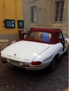 1969 Alfaromeo Duetto For Sale