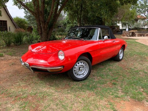 1968 Alf Romeo Spider 1300 Round Tail  In vendita