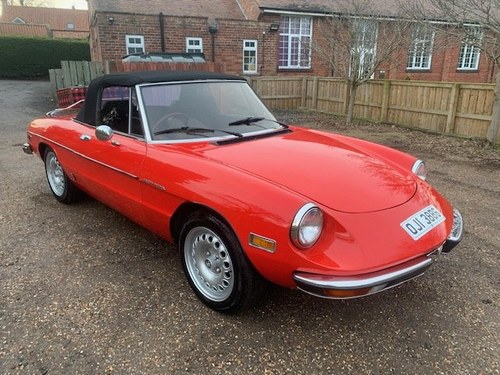 1981 Alfa Romeo Spider For Sale by Auction