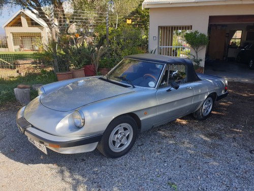 1983 Alfa Spider LHD For Sale