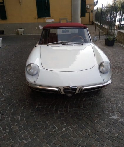 1969 Alfaromeo duetto spider For Sale