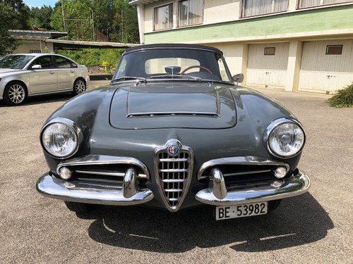1962 Alfa Romeo Giulia 1600 Spider (price reduced) In vendita