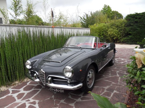 1962 Alfa Romeo GIULIA SPIDER RARE IN THIS CONDITION For Sale