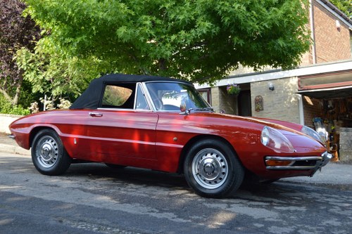 1967 Duetto Spider 1600 RHD  NOW SOLD For Sale
