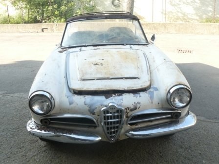1966 Alfa romeo giulia spider For Sale