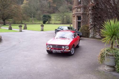 1972 Classic Alfa Romeo's GTV and Spider for hire For Hire