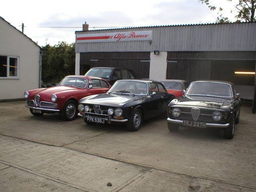 1970 All classic Alfa romeo's wanted  for cash