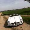1957 Alfa romeo giulietta spider In vendita