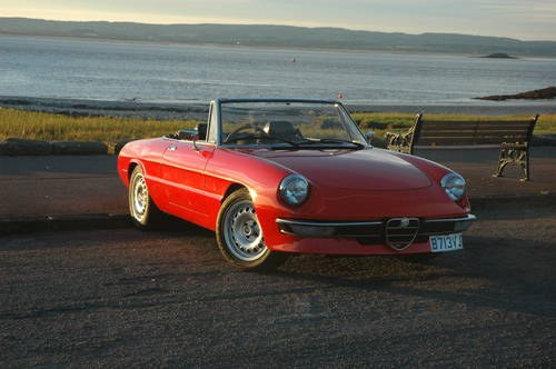 1984 Restored and Modified Fast Road Alfa Spider For Sale