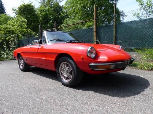 1979 rust-free and original Alfa Spider veloce, never welded SOLD